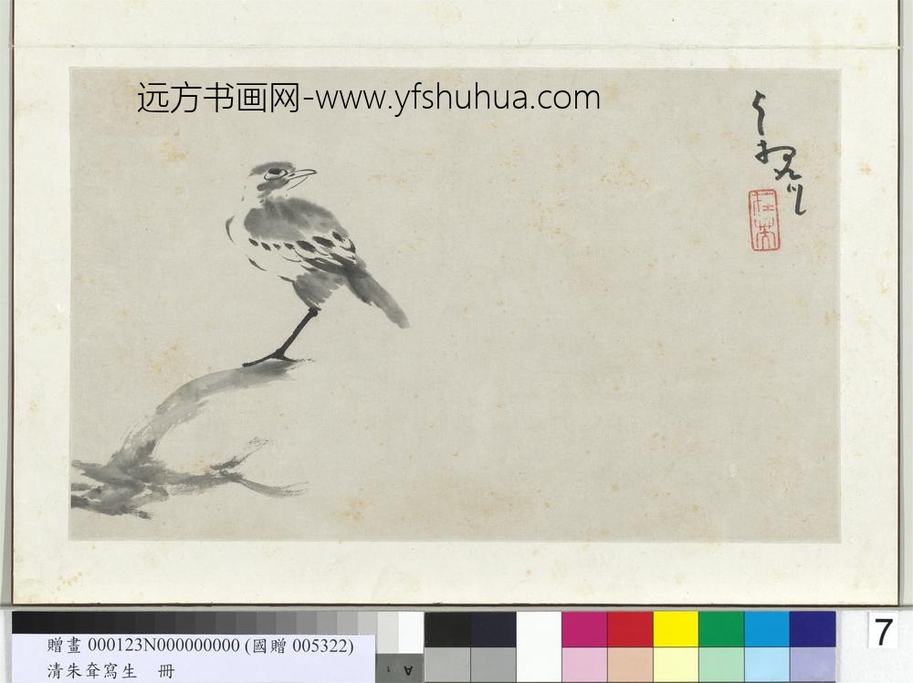 清朱耷写生册山鸟枯槎
