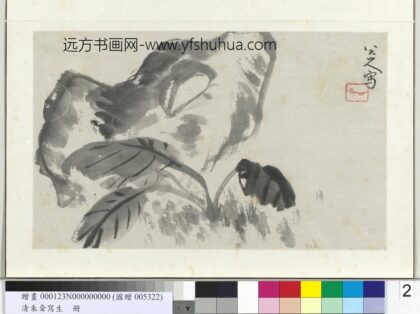 清朱耷写生册拳石玉簪.jpg