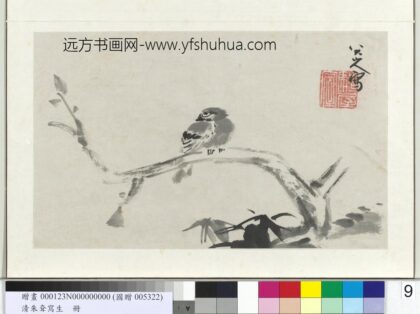 清朱耷写生册枯木寒雀.jpg