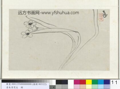 清朱耷写生册水仙.jpg