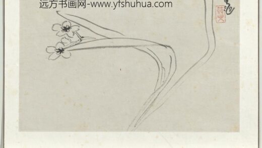 清朱耷写生册水仙.jpg