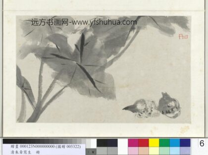 清朱耷写生册芋.jpg