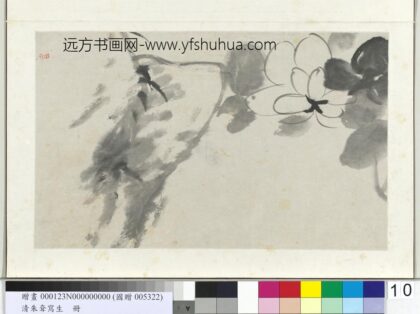 清朱耷写生册芙蓉.jpg