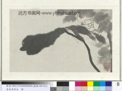 清朱耷写生册荷花.jpg
