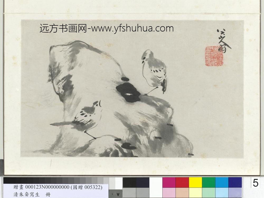 清朱耷写生册雀石