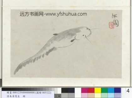 清朱耷写生册鲶鱼.jpg