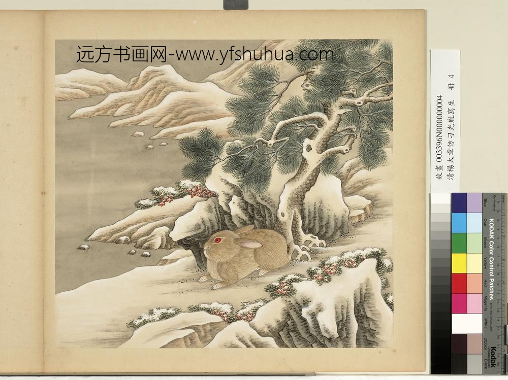 清杨大章仿刁光胤写生册乔松卧兔