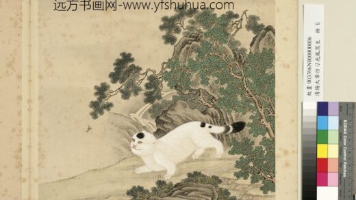 清杨大章仿刁光胤写生册柏木山猫.jpg