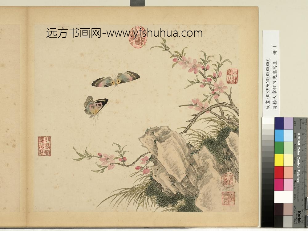清杨大章仿刁光胤写生册桃花双蝶