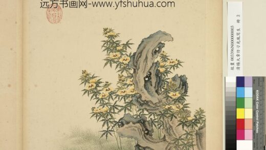 清杨大章仿刁光胤写生册秋葵奇石.jpg