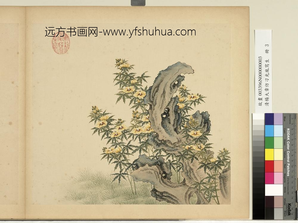 清杨大章仿刁光胤写生册秋葵奇石