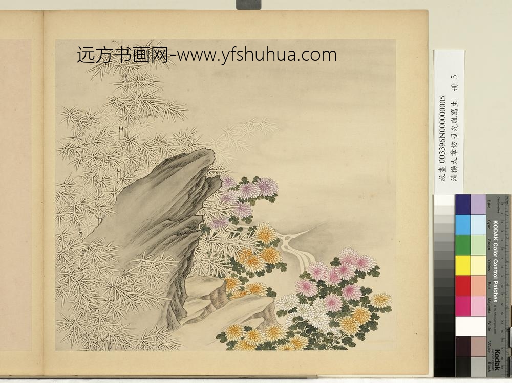 清杨大章仿刁光胤写生册竹菊泉石