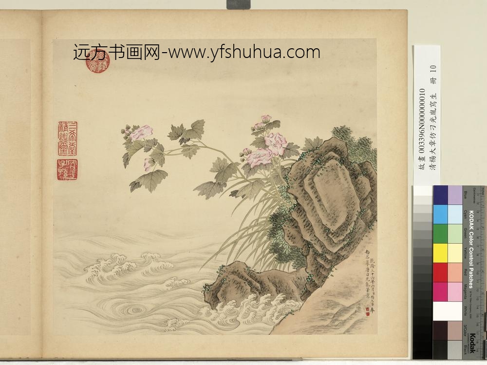 清杨大章仿刁光胤写生册芙蓉石岸