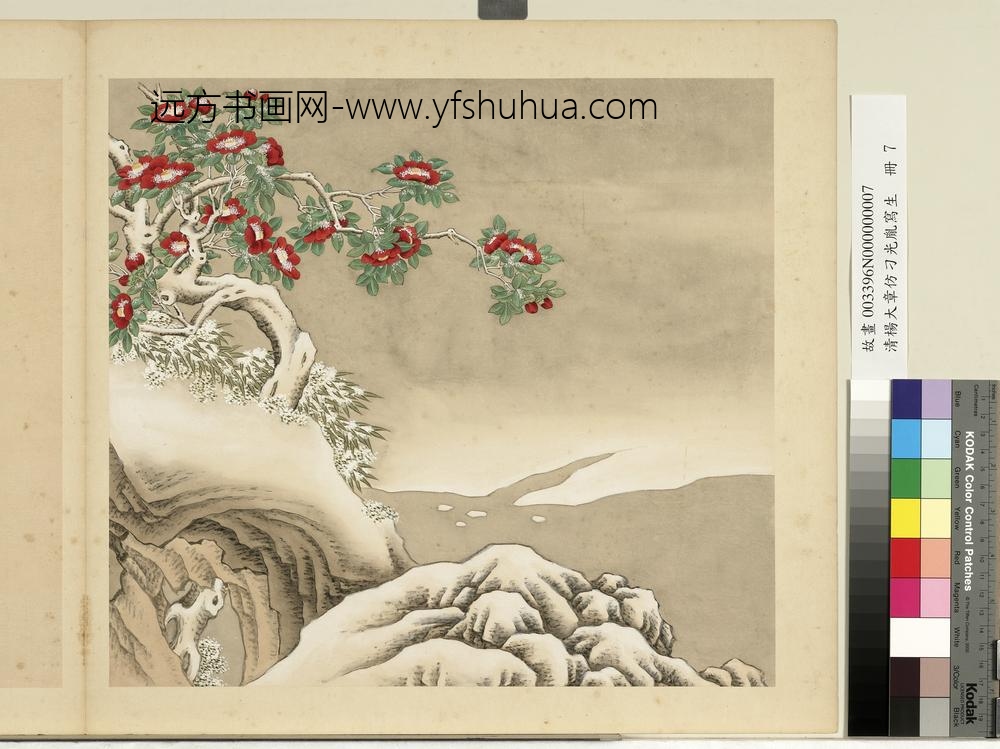 清杨大章仿刁光胤写生册茶花竹子