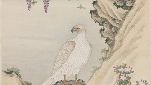 清杨大章画白鹰轴.jpg