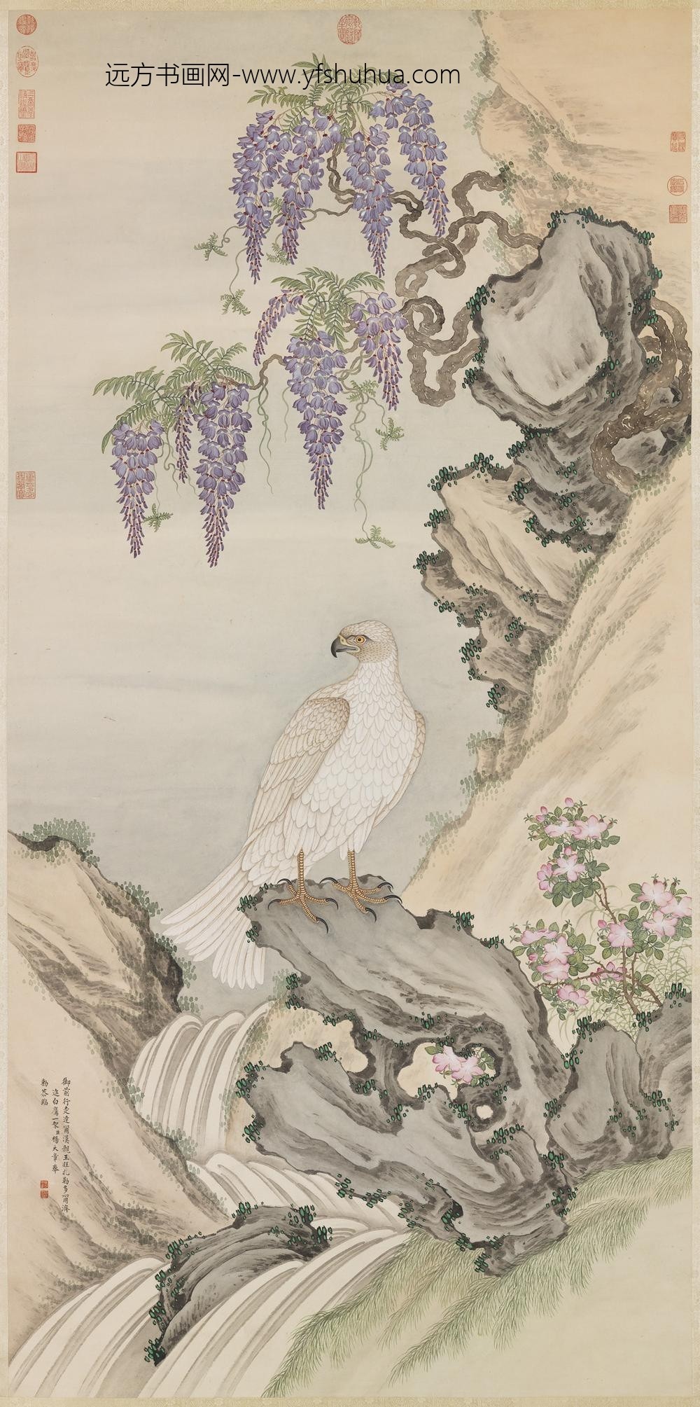 清杨大章画白鹰轴
