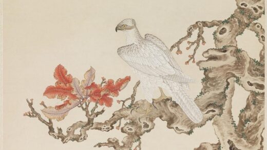 清杨大章画白鹰轴.jpg