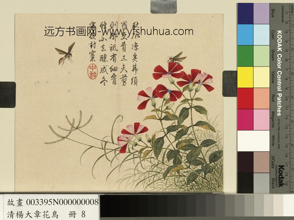 清杨大章花鸟册剪秋罗蜜蜂