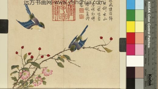 清杨大章花鸟册山樝相思鸟.jpg