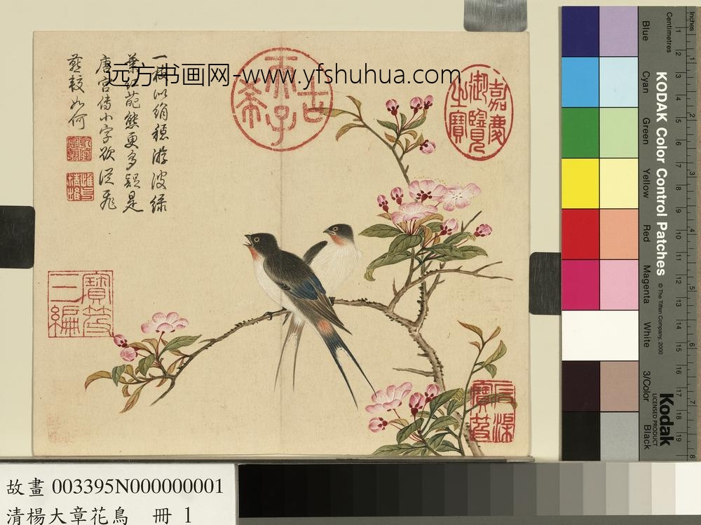 清杨大章花鸟册海棠燕子