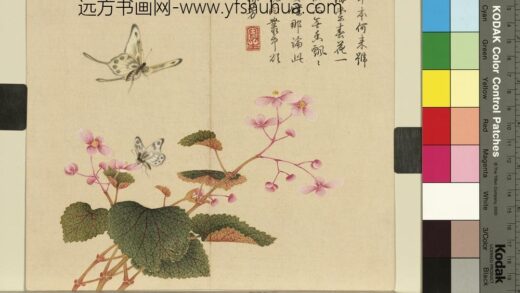 清杨大章花鸟册秋海棠蝴蝶.jpg
