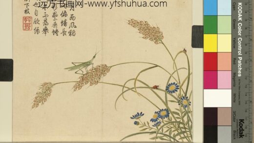 清杨大章花鸟册稻穗螳螂.jpg