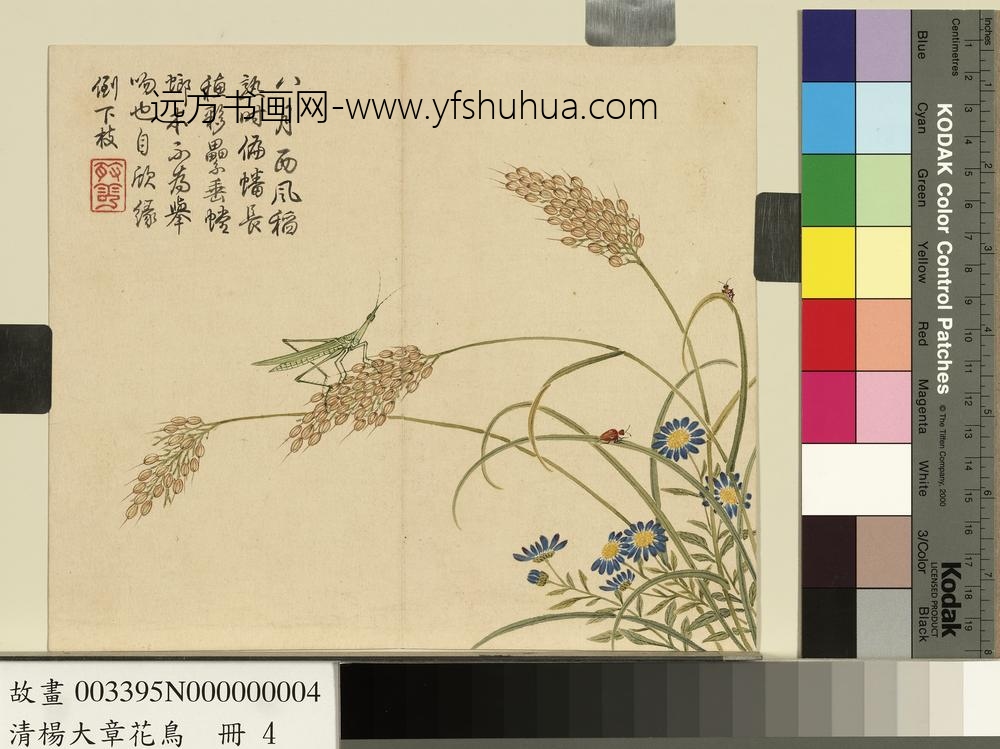 清杨大章花鸟册稻穗螳螂