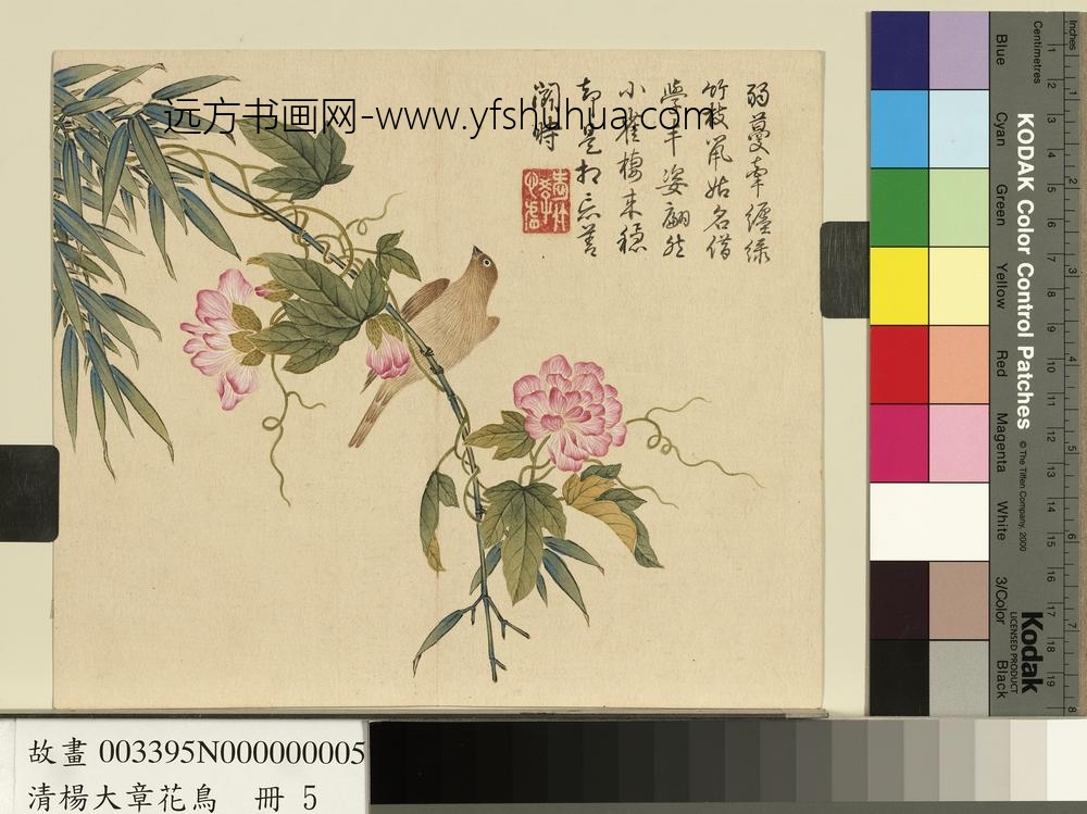 清杨大章花鸟册缠枝牡丹黄雀