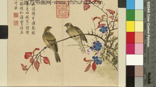 清杨大章花鸟册翠梅黄雀.jpg
