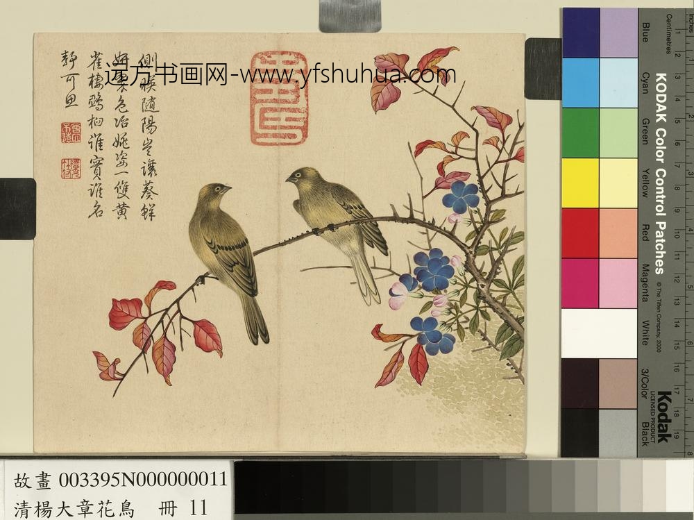 清杨大章花鸟册翠梅黄雀