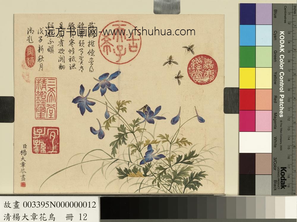 清杨大章花鸟册蓝雀花蜜蜂
