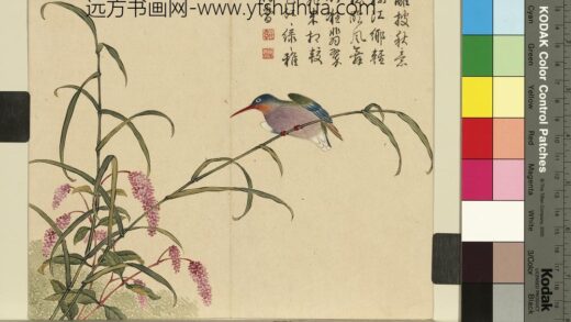 清杨大章花鸟册蓼花翠鸟.jpg