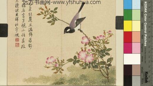 清杨大章花鸟册蔷薇子规.jpg
