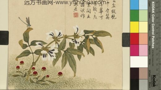 清杨大章花鸟册豆花蜻蜓.jpg