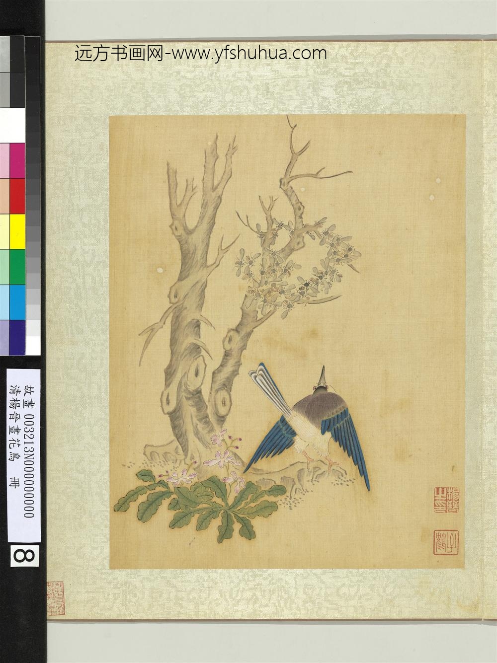 清杨晋画花鸟册古木蜂窠