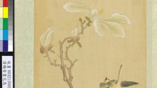 清杨晋画花鸟册木兰翠雀.jpg