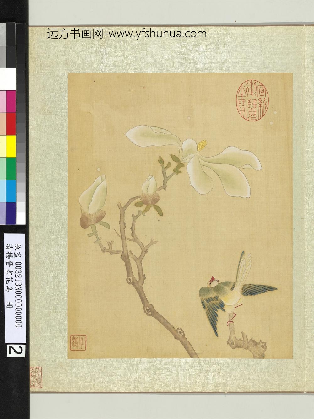 清杨晋画花鸟册木兰翠雀