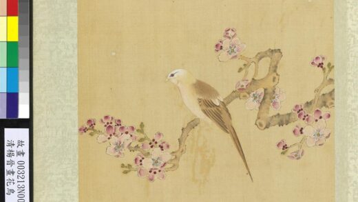 清杨晋画花鸟册杏花黄脰.jpg