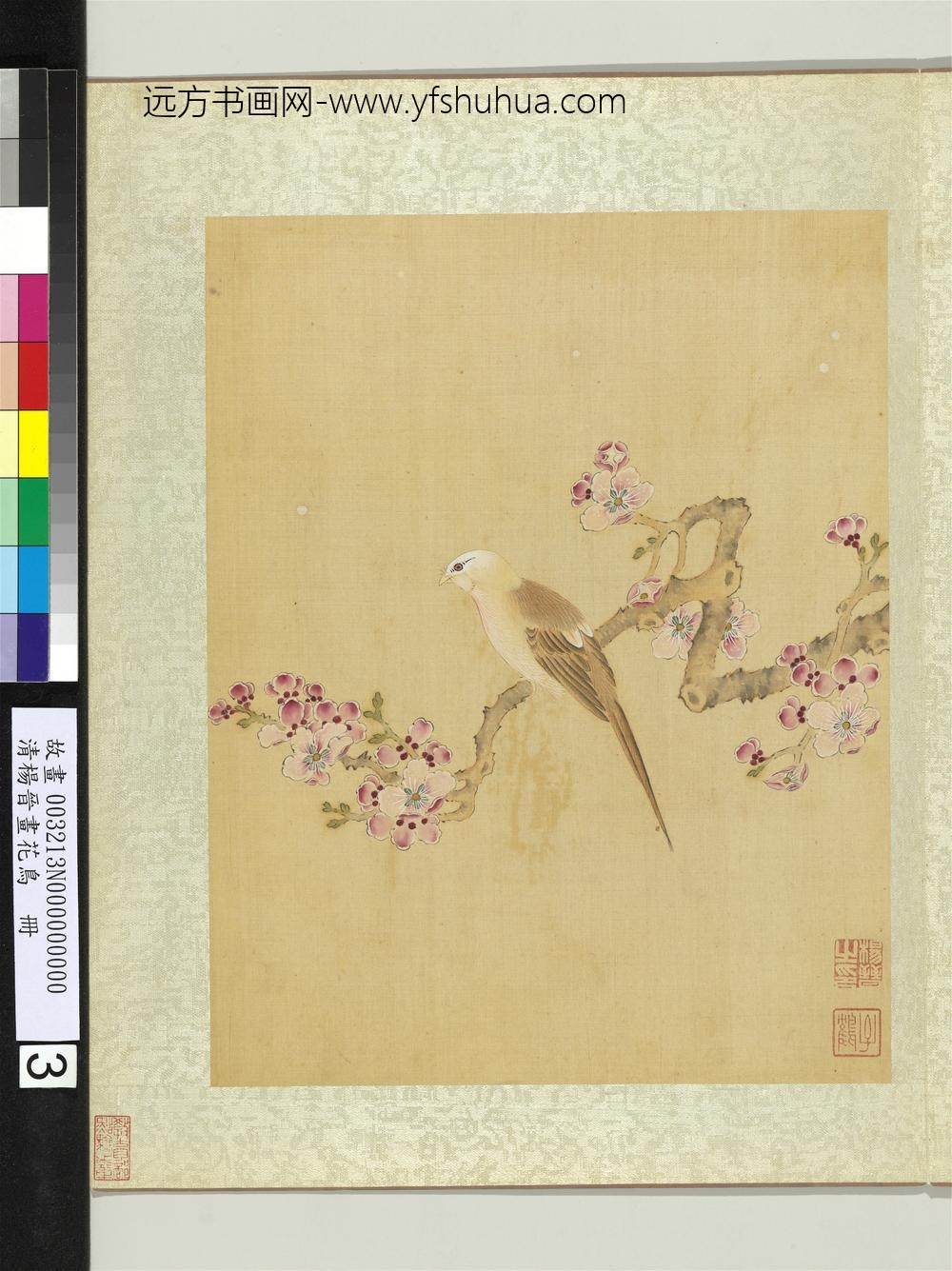 清杨晋画花鸟册杏花黄脰