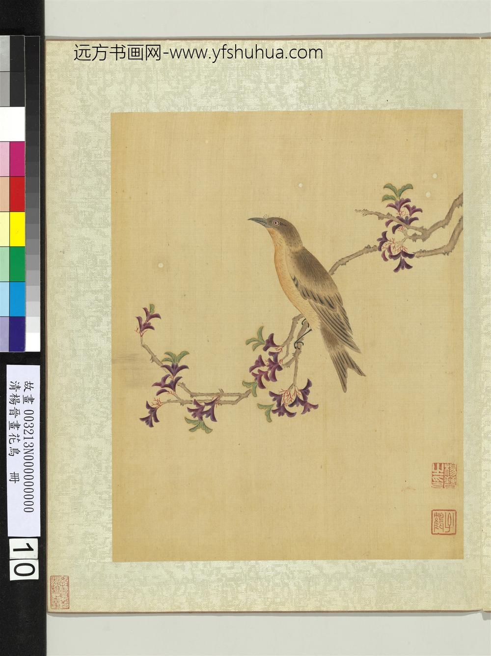 清杨晋画花鸟册枝上画眉