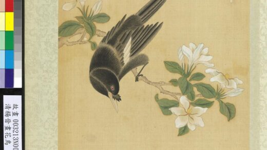 清杨晋画花鸟册栀子花鸜鹆.jpg
