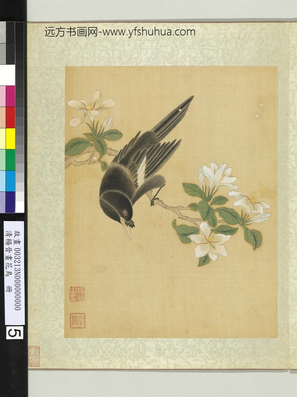 清杨晋画花鸟册栀子花鸜鹆