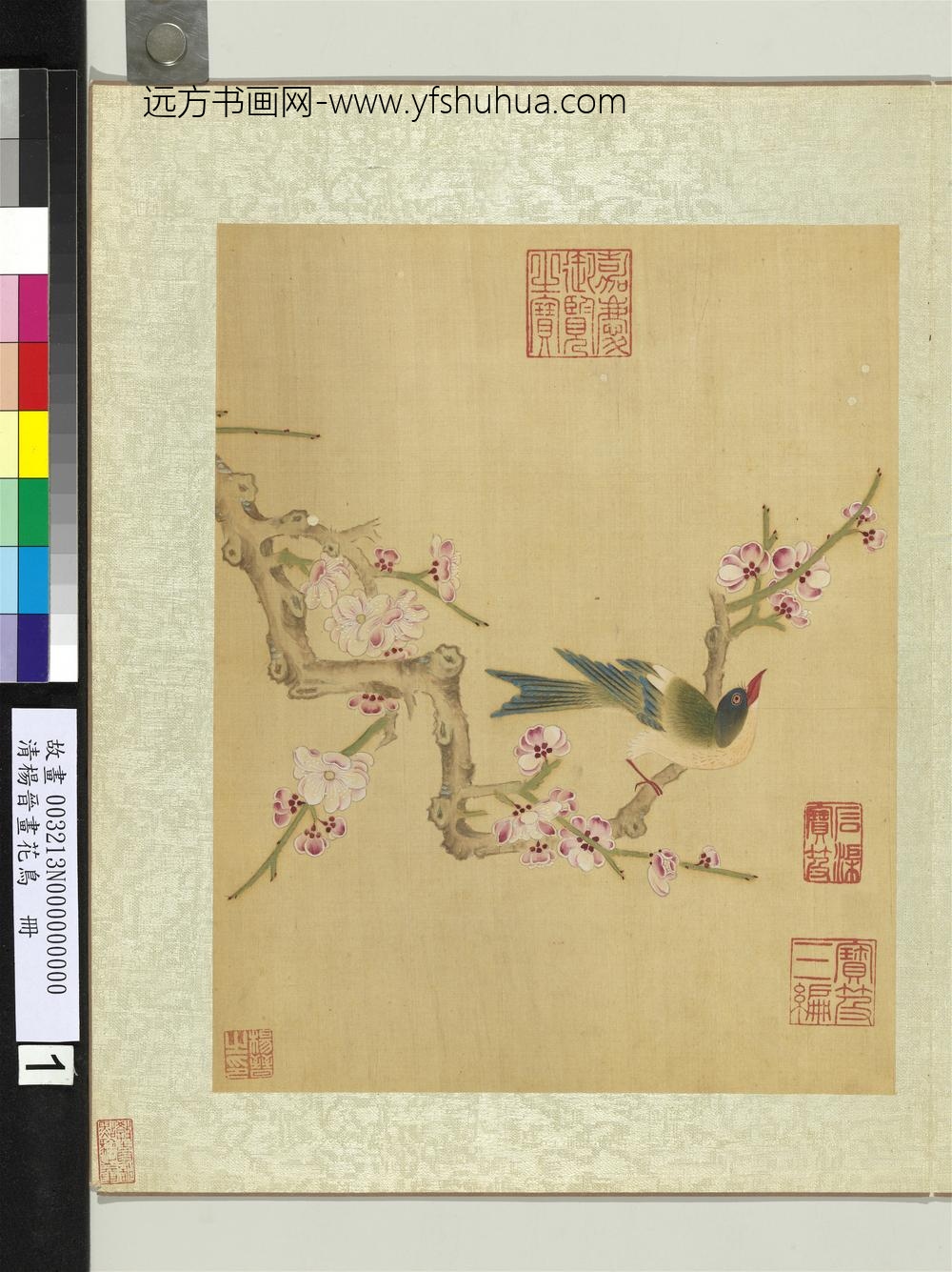 清杨晋画花鸟册梅花翠雀