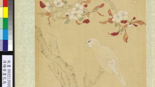 清杨晋画花鸟册梨花白雀.jpg