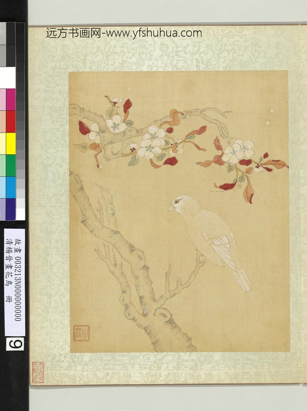 清杨晋画花鸟册梨花白雀