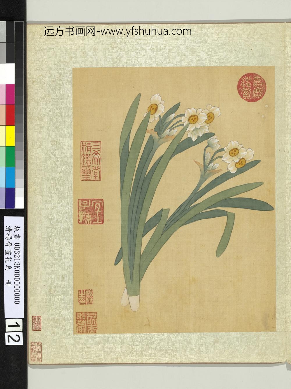 清杨晋画花鸟册水仙花