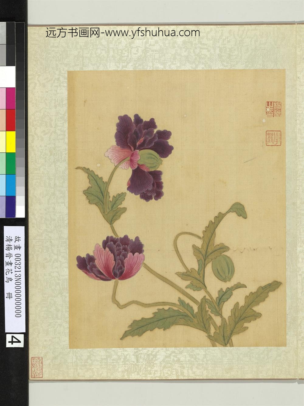 清杨晋画花鸟册米囊花