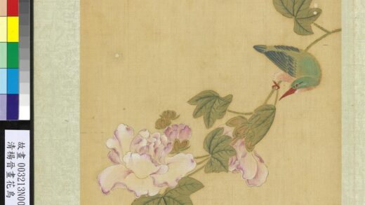 清杨晋画花鸟册芙蓉鱼虎.jpg