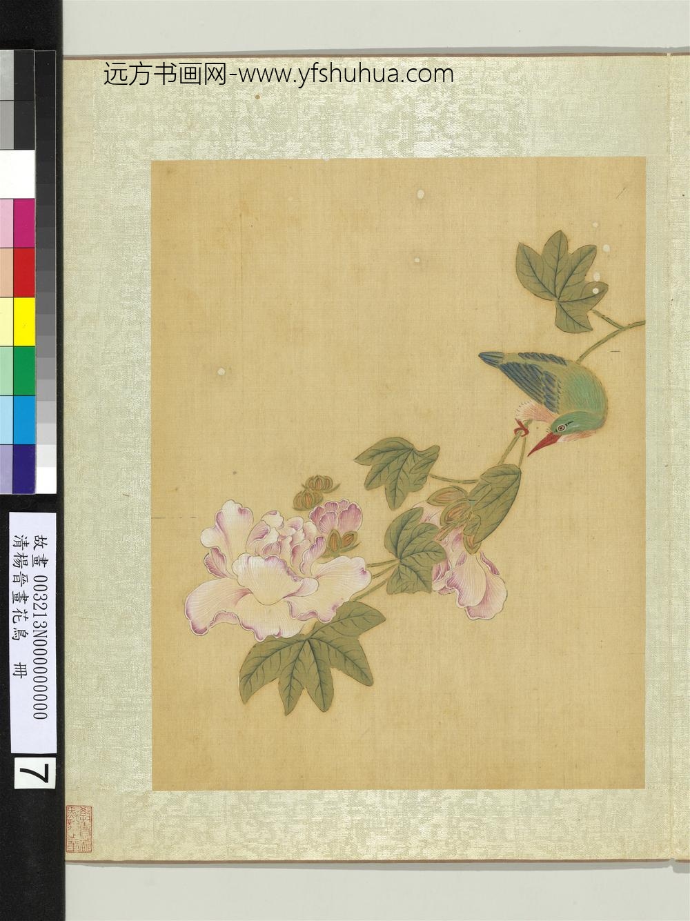 清杨晋画花鸟册芙蓉鱼虎