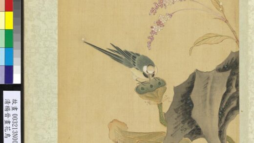 清杨晋画花鸟册莲房鹡鸰.jpg